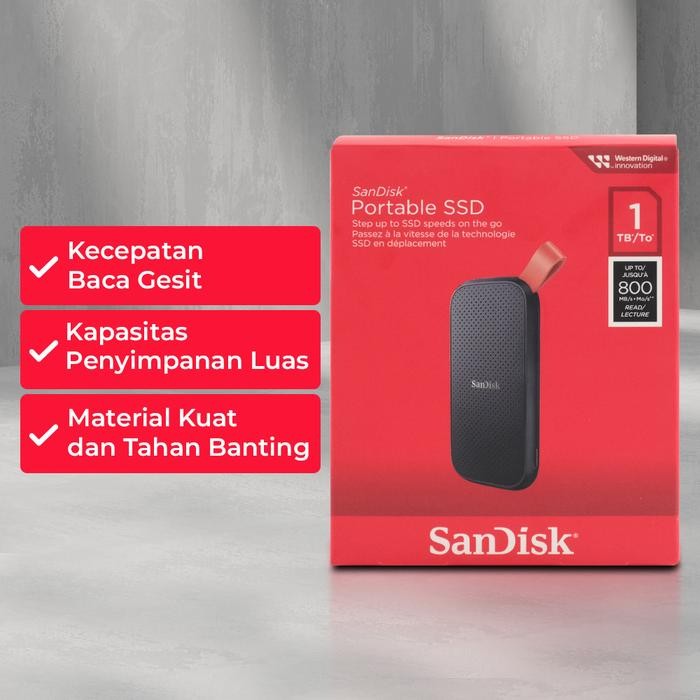 Sandisk e30 800mbps 1tb